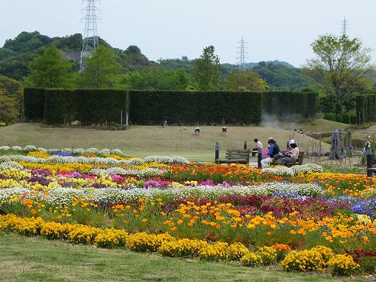 春の花