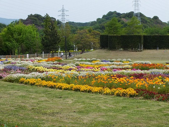 春の花