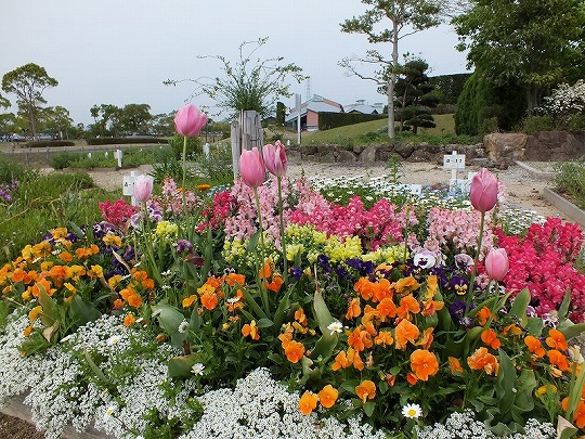 春の花