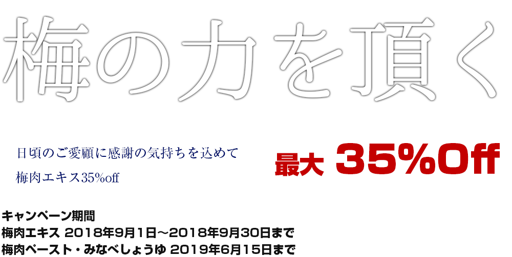 紀州花梅の里、梅の力をいただく